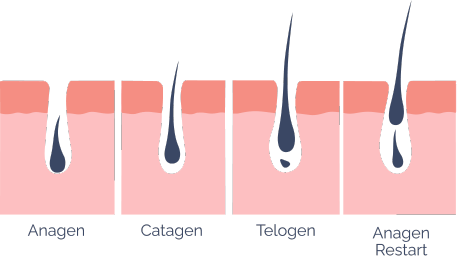 Science